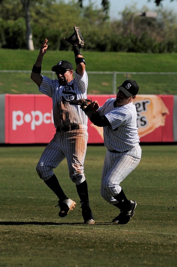 Seals_AZ_2018_Best (27).JPG